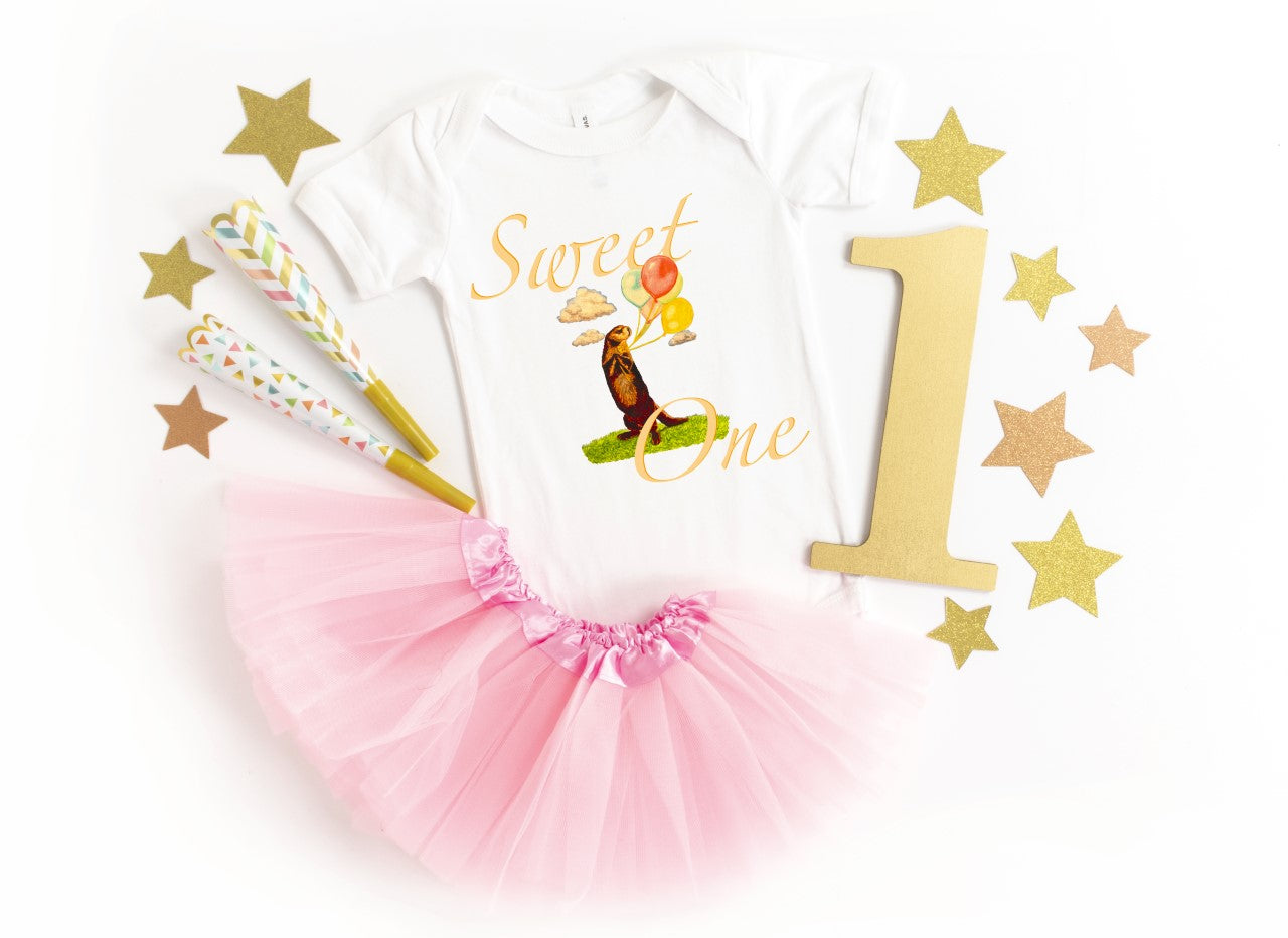 Sweet One Cute Otter Baby Short Sleeve One Piece Baby One-Pieces Indie Darling Design