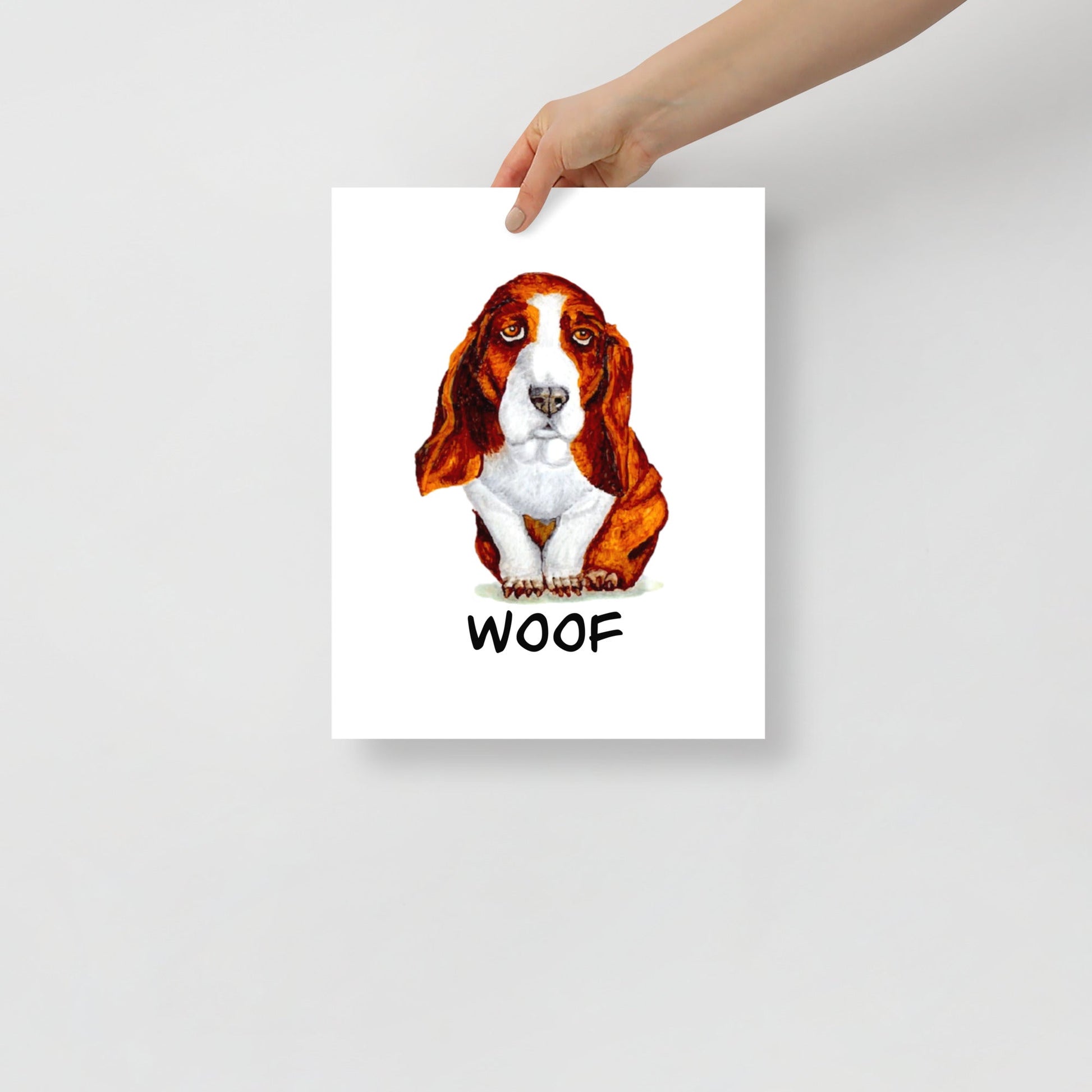 Basset Hound Puppy Poster Print without Frame Artwork Indie Darling Design 