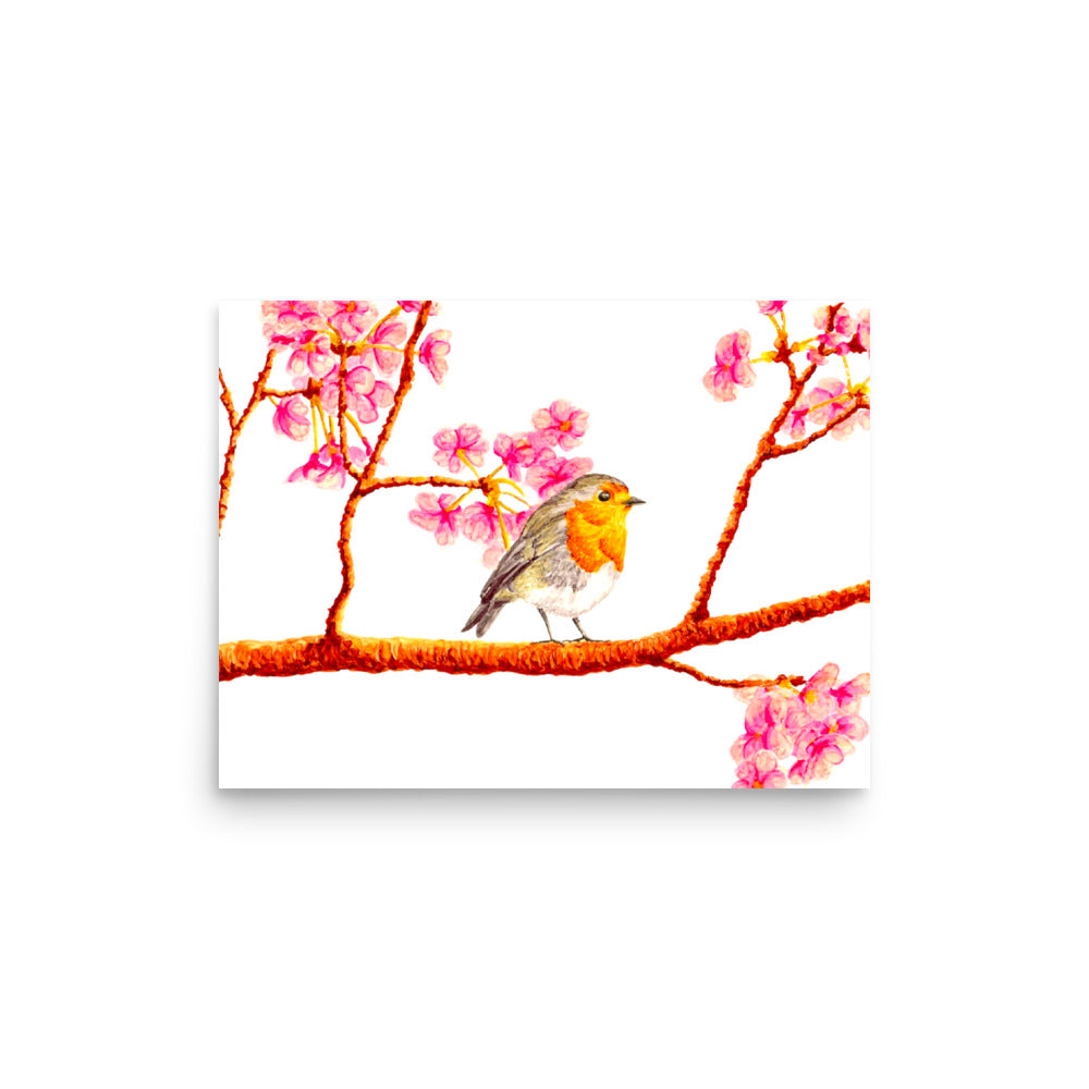 Robin and Cherry Blossoms Poster Print without Frame Posters, Prints, & Visual Artwork Indie Darling Design 